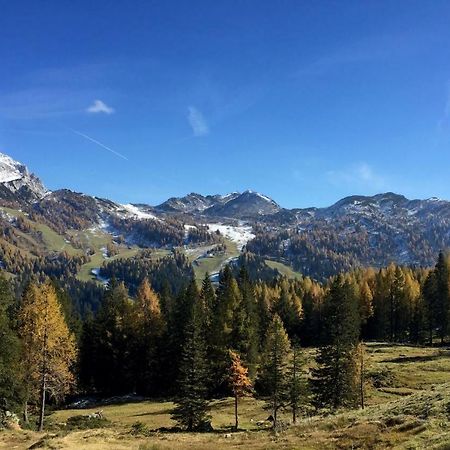 Waldnerhütte Villa Hermagor-Pressegger See Dış mekan fotoğraf