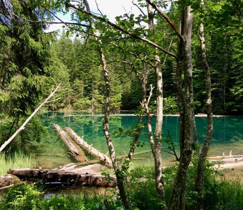 Waldnerhütte Villa Hermagor-Pressegger See Dış mekan fotoğraf