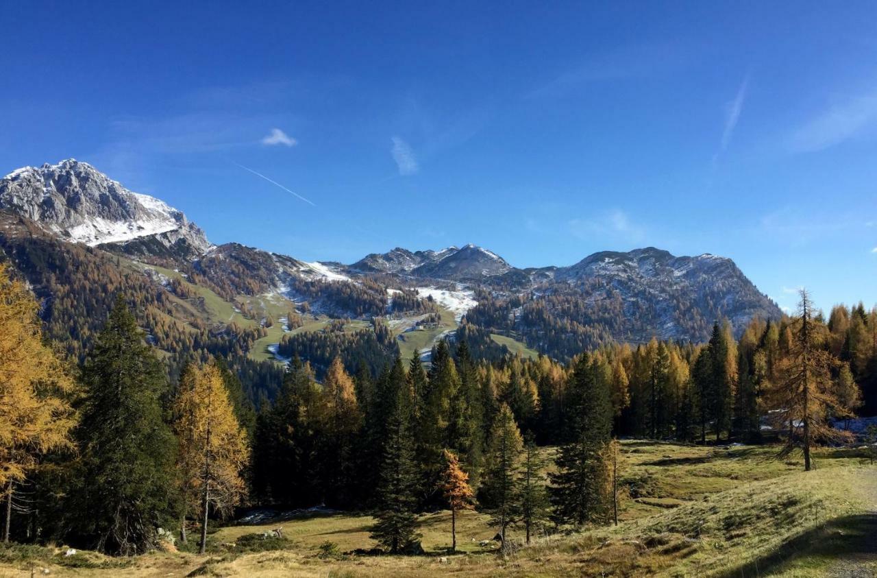 Waldnerhütte Villa Hermagor-Pressegger See Dış mekan fotoğraf