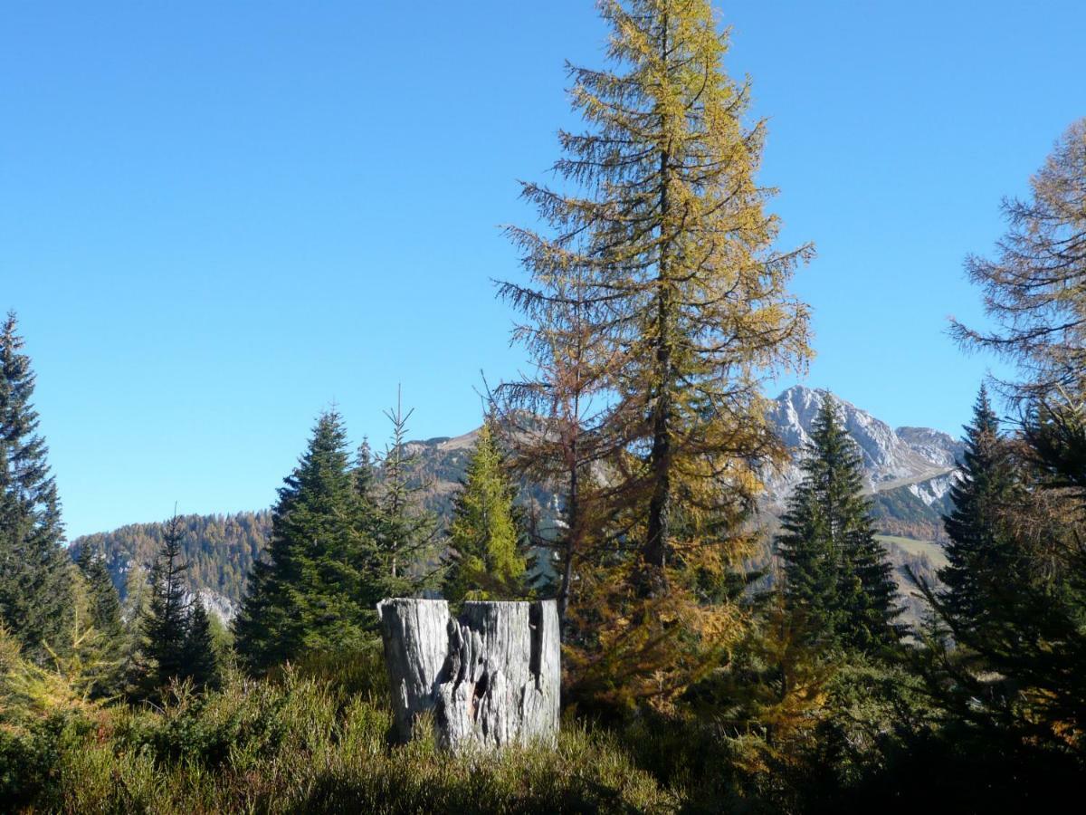 Waldnerhütte Villa Hermagor-Pressegger See Dış mekan fotoğraf