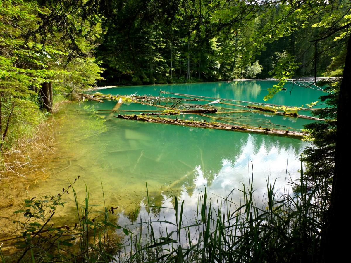Waldnerhütte Villa Hermagor-Pressegger See Dış mekan fotoğraf